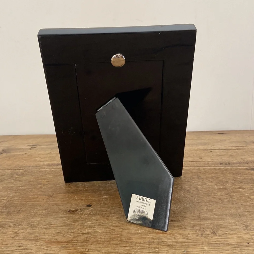 Z Gallerie Horn and Bone Picture Frame